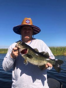 Largemouth Bliss in the Sunshine State