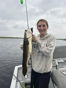 1 angler fishing in Fellsmere