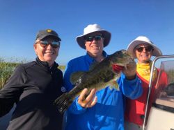 3 anglers with a fishing catch in Fellsmere