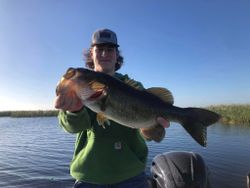 A person fishing in Fellsmere