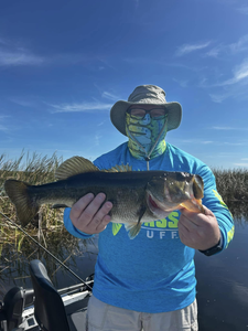 Largemouth bass caught while fishing in Fellsmere