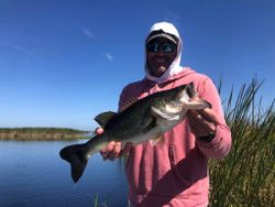 One person fishing in Fellsmere