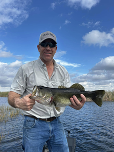 Largemouth Bass caught in FL