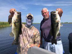 Two largemouth bass caught in Florida