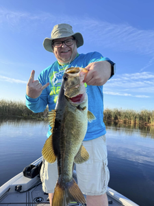 Largemouth bass caught in FL