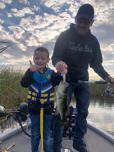 Largemouth bass caught by two people in Fellsmere