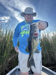 Largemouth Bass caught while fishing in Fellsmere