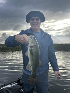 Largemouth bass caught while fishing in FL