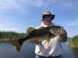Largemouth bass caught in Florida