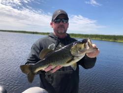 Largemouth Bass caught while fishing in FL