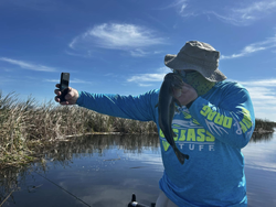 Scenic view of Fellsmere during a fishing trip