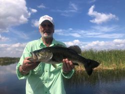 Smallmouth Bass caught in Fellsmere