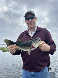 Fishing for a big largemouth bass in FL