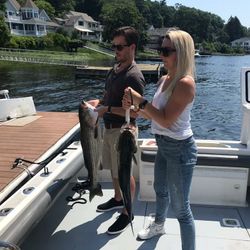 Two striped bass caught fishing in MA