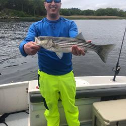 Striped bass caught while fishing in MA