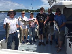 Striped bass fishing in MA