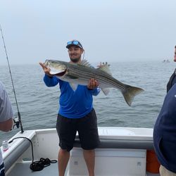 Striped bass caught while fishing in Salisbury