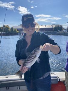 Striped Bass caught by angler in MA