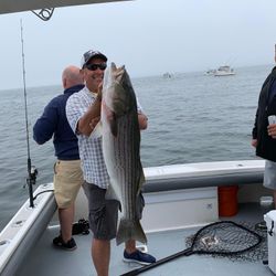 Striped Bass caught in Salisbury