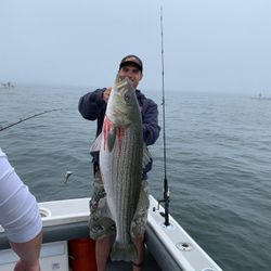 Striped bass caught in Salisbury while fishing