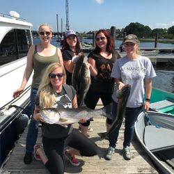Three striped bass caught in MA