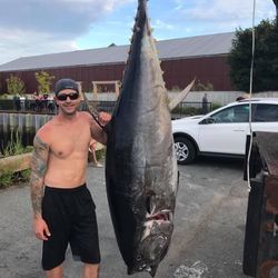 Photograph of a 56-inch Yellowfin Tuna caught while fishing in MA