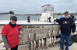 4 striped bass caught while fishing in Whitney