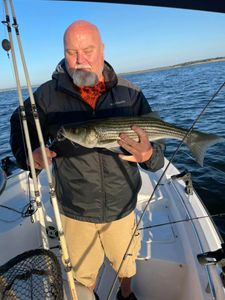 One striped bass caught while fishing in Whitney