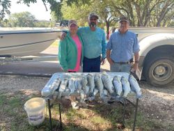 Striped bass caught fishing in Whitney