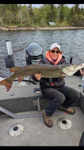 Ontario Walleye Haven