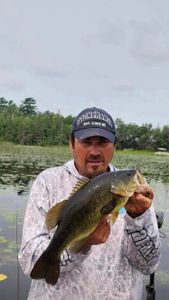 Ontario's Bass Beauties