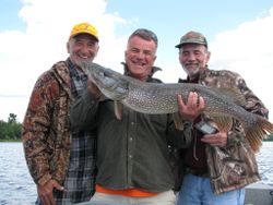 Anglers with a large northern pike fish catch in Ontario, Canada.