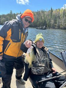 Freshly caught crappie being displayed during fishing trip in Nestor Falls ON