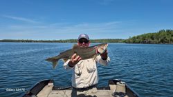 Lake trout caught while fishing in Nestor Falls ON