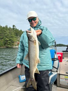 Lake trout caught while fishing in Nestor Falls Ontario