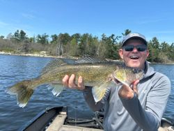 Walleye catch displayed on boat in Nestor Falls ON