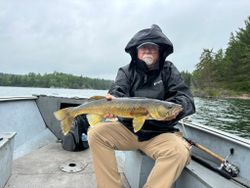 Walleye caught fishing in Nestor Falls ON