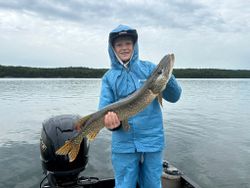Northern Pike caught while fishing in Nestor Falls ON