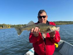 Pike-perch caught on a fishing trip in ON