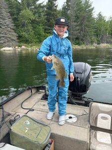 Smallmouth bass caught while fishing in Nestor Falls ON