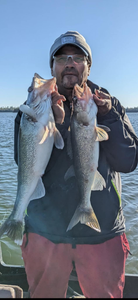 Two big walleye caught during a fishing trip in Nestor Falls