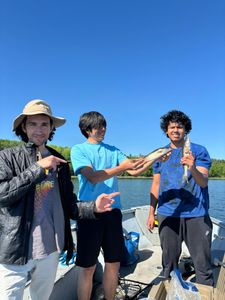 Three anglers on boat displaying freshly caught walleye in Nestor Falls ON