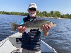 A lone walleye caught in Nestor Falls