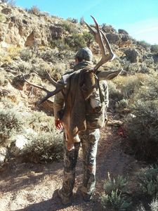 Nevada Hunting: A Wilderness Escape