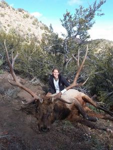 Thrilling Elk Hunting Adventures