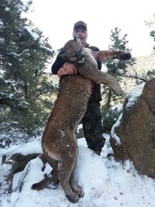 Hunting adventure in NV