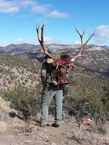 Hunting adventure in NV