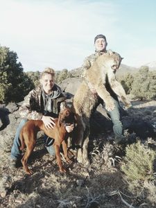 Two people hunting in Nevada