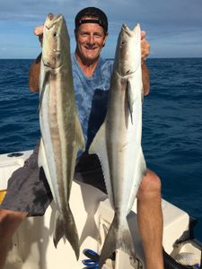 Cobia fishing in Florida