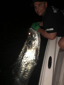 One angler fishing in Islamorada